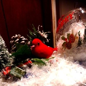 Undefined Creations with Cooper & Wood